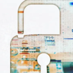 The Envisioned Future of Identity